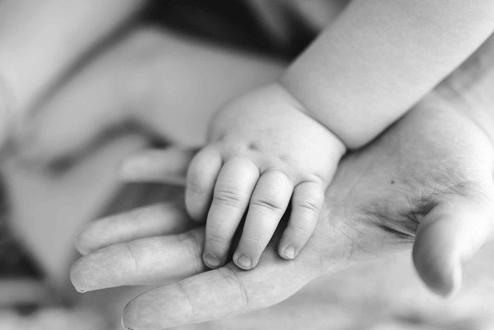 Main d'un bébé dans la main d'un parent